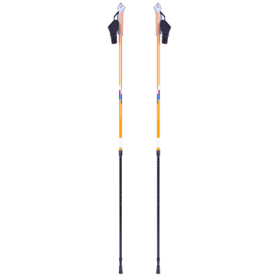 Nordic walking palice inSPORTline Potosi