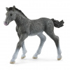 Schleich 13944 Trakénské hříbě