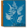 Anna Atkins. Cyanotypes - Peter Walther