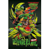 Plagát, Obraz - Teenage Mutant Ninja Turtles: Mutant Mayhem - Deefenders Of NYC, 61 × 91.5 cm