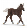 Schleich 13899 Schwarzwaldské hříbě