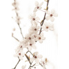 Plagát, Obraz - Blossoming, Sisi & Seb, 26.7 × 40 cm