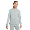 Nike NK Dry Academy Hoodie Po Fp JB Junior CZ0970-019