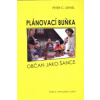 Plánovací buňka: Občan jako šance
