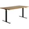 Písací stôl, elektricky výškovo prestaviteľný ,š x h 1600 x 800 mm Topstar