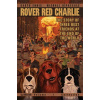 Rover Red Charlie