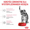 ROY Royal Canin Kitten Sterilizované suché krmivo pre mačky 3,5 kg Kitten Poultry