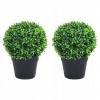 Guľôčky z umelého krušpánu v kvetináči, 2 ks, zelené, 27 cm