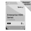 Synology HAT5310 8TB, HAT5310-8T (HAT5310-8T)