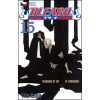 Bleach 15 - Tite Kubo
