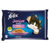 Felix Fantastic Junior lahodný výber v želé - s kuraťom a lososom 12 x (4 x 85 g)