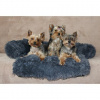 Petsofa pelech pre psa tmavo šedá rozmer XS - S