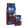 VAFO Praha, Česká republika Brit Premium by Nature dog Senior L+ XL