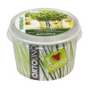 Ortolino - Oregano - VERDEMAX - nádobka, kokosový substrát, rýchlovzchádzajúce osivo