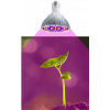 LED Grow light 30W o58mm