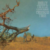 CD Molly Tuttle: Crooked Tree