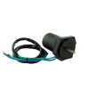 Motor trimu Yamaha F40-70HP T50 T60 4-takt 6CJ-43880 MOTOWODNIAK