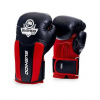 Boxerské rukavice DBX BUSHIDO DBD-B-3