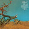 Crooked Tree Molly Tuttle & Highway Zlatý vinyl