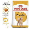 ROYAL CANIN Poodle Adult 1,5 kg