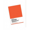 Creating a Brand Identity: A Guide for Designers