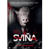 FILM SVINA (SK) DVD