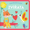 Zvířata - autor neuvedený