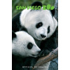 San Diego Zoo Official Guidebook