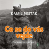 Co se do vás vejde - Kamil Pešťák - online doručenie