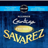 Savarez 510AJP