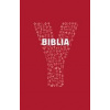 Y-Biblia - Biblia Katolíckej cirkvi pre mladých - autor neuvedený