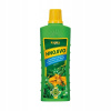 Forestina KAPKA Izbové nekvitnúce rastliny 500 ml