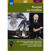 PUCCINI,G.: La Rondine [Puccini Festival] (DVD)