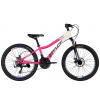 Bicycle ST 24