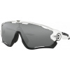 OAKLEY JAWBREAKER