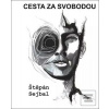 Cesta za svobodou (Štěpán Sejbal)