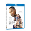 Ukryte piękno Blu-ray disku