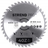 Strend Pro Kotúč pílový TCT 305x3.2x30/20 mm 40T na drevo SK plátkami 2232037