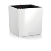 Lechuza Cube Premium All-in-One set biely 40x40x40 cm