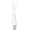 Star Home Decor Vŕbové vetvičky zväzok Salix biele 120 cm