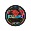 Iceberg watermelon mint gum 32,5 mg vrecúško 20 vrecúšok