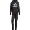 Tepláková súprava adidas Big Logo Terry Track Suit M IJ8555