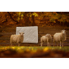 Vlnená prikrývka Komfort Wool 200x220 cm - Ložnice21.