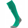 Puma Team LIGA Socks