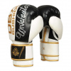 Boxerské Rukavice DBX BUSHIDO B-2V16 8 oz.