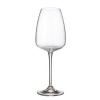 BOHEMIA 6 pohárov na biele víno ANSER 440 ml (BOHEMIA 6 pohárov na biele víno ANSER 440 ml)