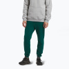 Pánske nohavice Reebok Identity Small Logo Fleece Jogger collegiate green