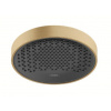Hansgrohe Rainfinity - Hlavová sprcha 250, EcoSmart, kefovaný bronz 26229140