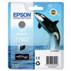 Epson originál ink C13T76074010, T7607, light black, 25,9ml, 1ks, Epson SureColor SC-P600