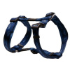 Postroj Alpinist K2 modrý 20mm, L